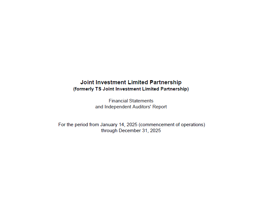 Audited Financial Statements 2025 preview